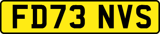 FD73NVS
