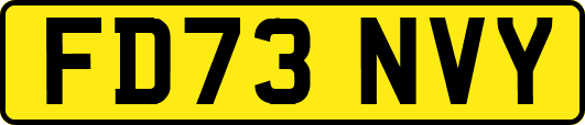 FD73NVY