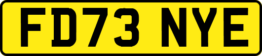 FD73NYE