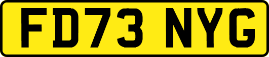 FD73NYG