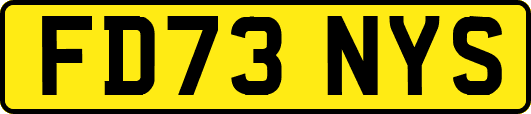 FD73NYS