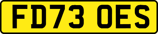 FD73OES