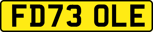 FD73OLE