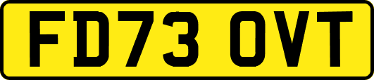 FD73OVT