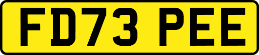 FD73PEE