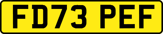 FD73PEF