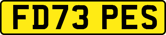 FD73PES
