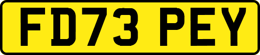 FD73PEY
