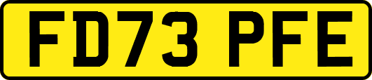 FD73PFE