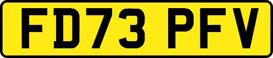 FD73PFV