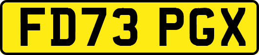 FD73PGX