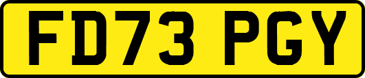 FD73PGY