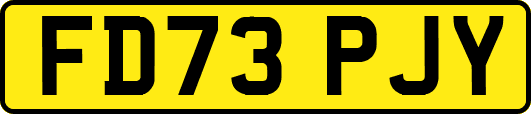FD73PJY
