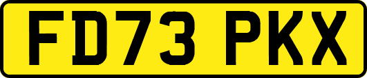 FD73PKX