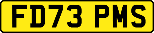 FD73PMS