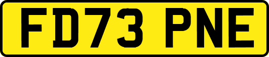 FD73PNE