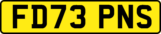 FD73PNS
