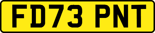 FD73PNT