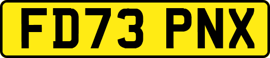 FD73PNX