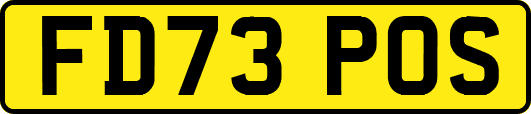 FD73POS