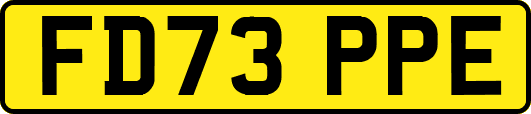 FD73PPE