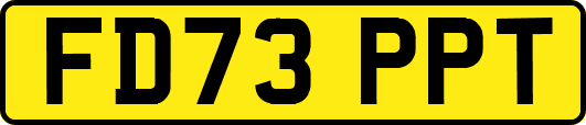 FD73PPT