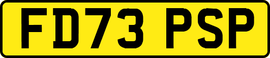 FD73PSP
