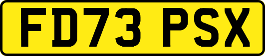 FD73PSX