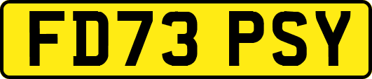 FD73PSY