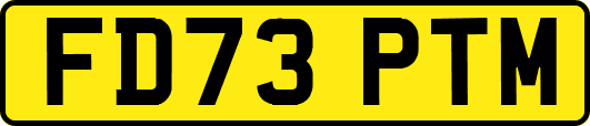 FD73PTM