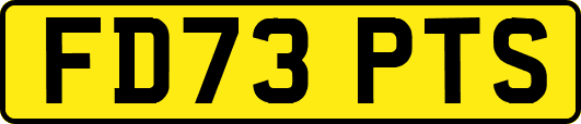 FD73PTS