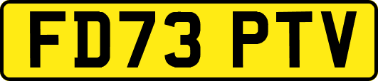FD73PTV