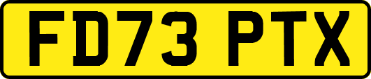 FD73PTX