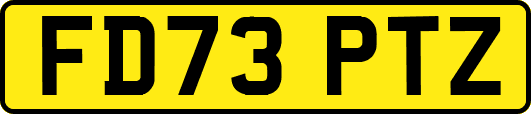 FD73PTZ