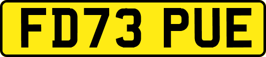 FD73PUE