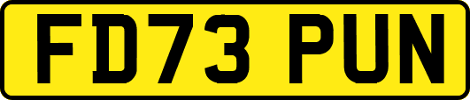 FD73PUN