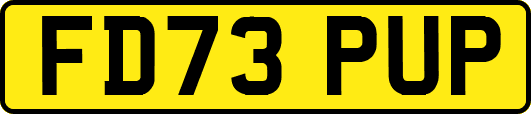FD73PUP