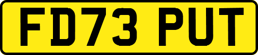 FD73PUT