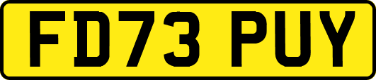 FD73PUY