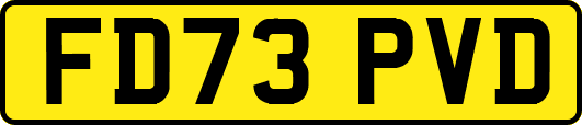 FD73PVD