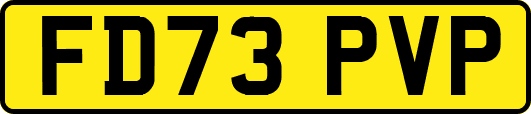 FD73PVP