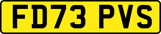 FD73PVS