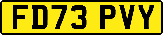 FD73PVY