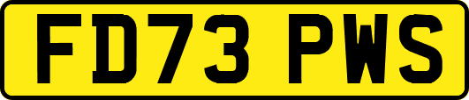FD73PWS