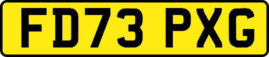 FD73PXG