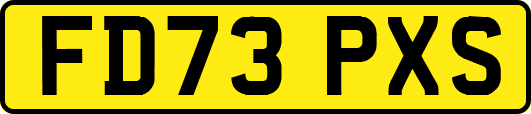 FD73PXS