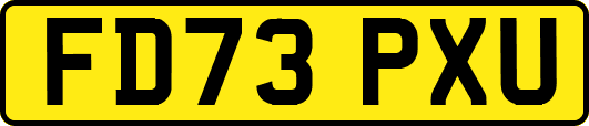 FD73PXU