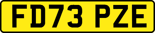 FD73PZE