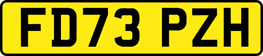 FD73PZH