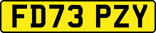 FD73PZY